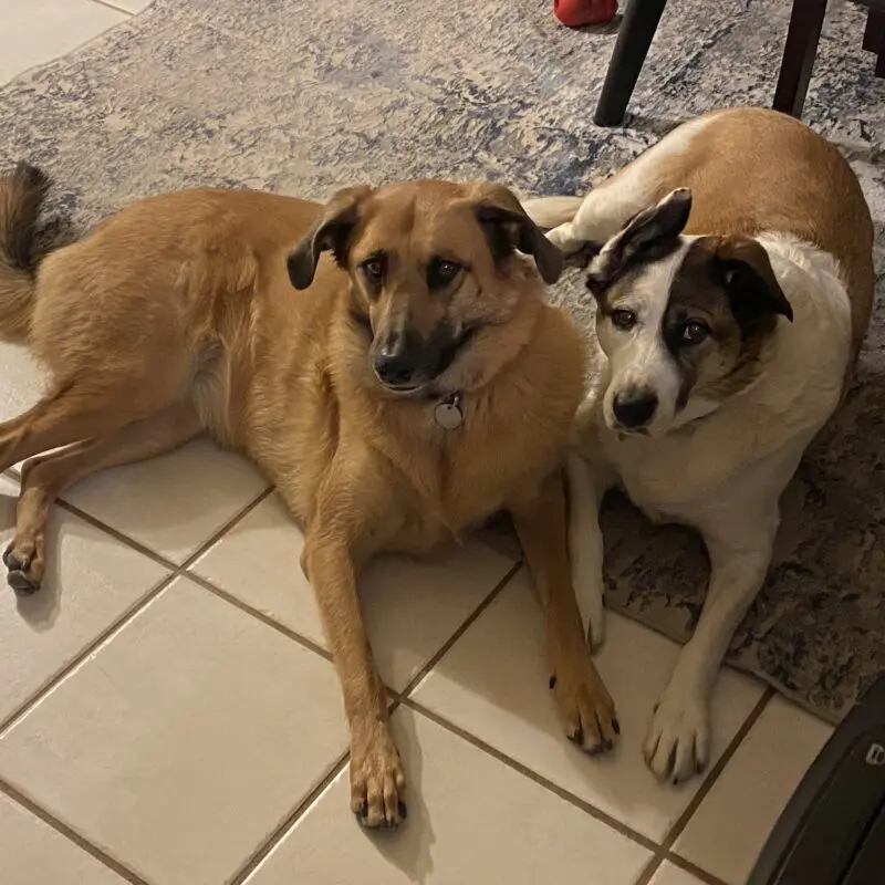 Chloe & Jenny 